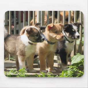 Islandhundewelpen Mouse Mat