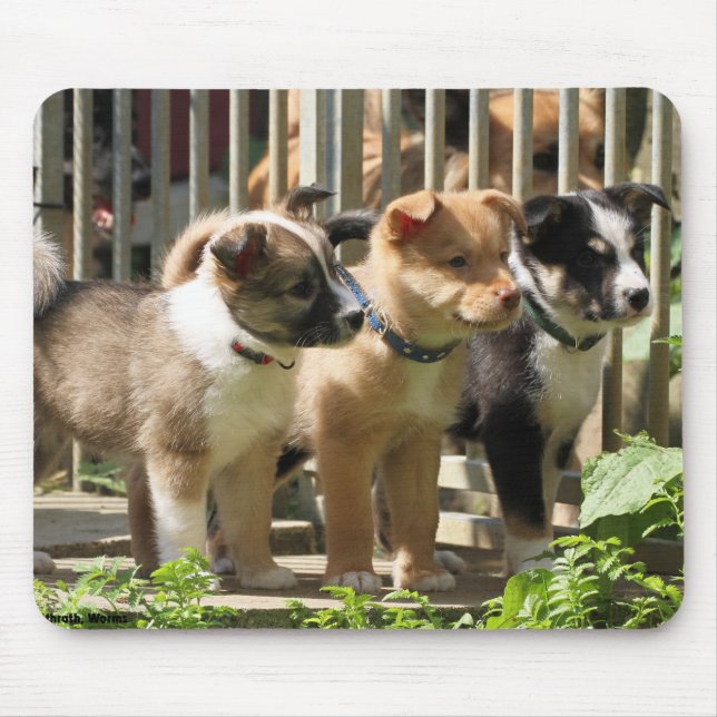 Islandhundewelpen Mouse Mat (Front)