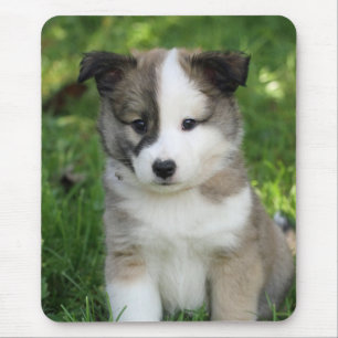 Islandhundwelpe Splitface Mouse Mat