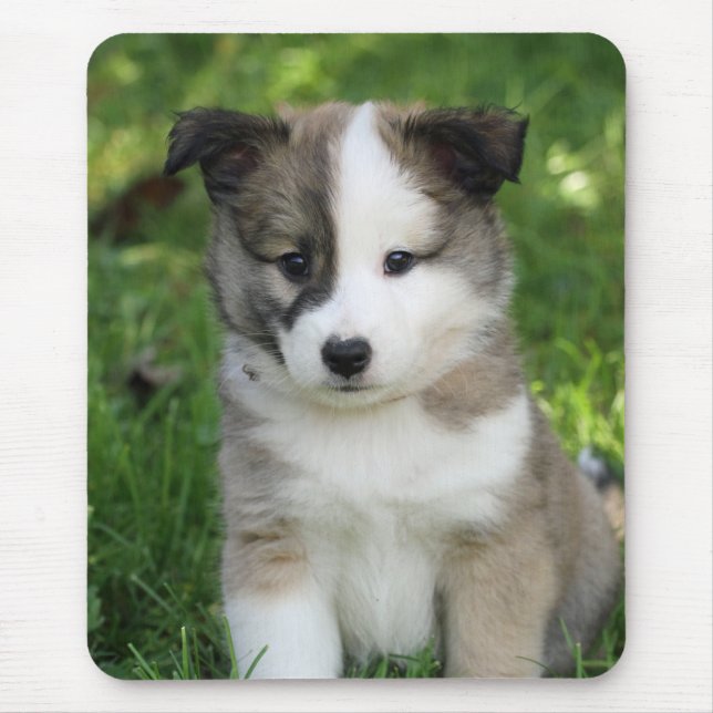 Islandhundwelpe Splitface Mouse Mat (Front)