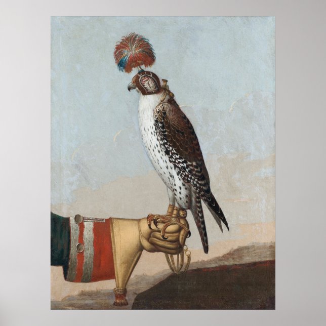 Islandic Gyrfalcon Poster (Front)