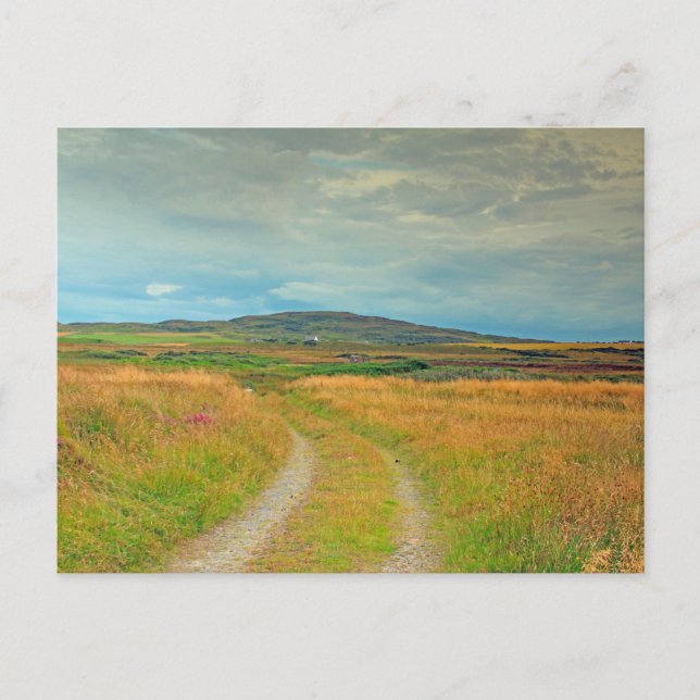 Islay, Scotland Postcard (Front)