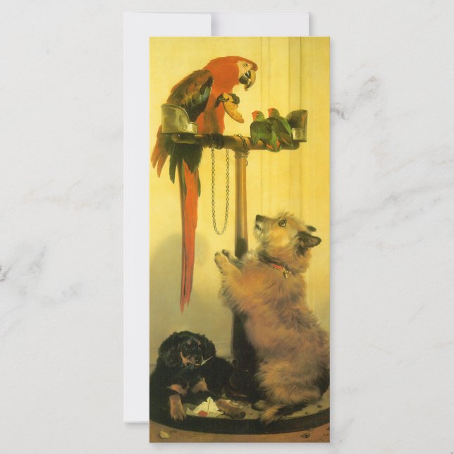 Islay, Tilco, a Macaw and Love Birds by Landseer (Front)