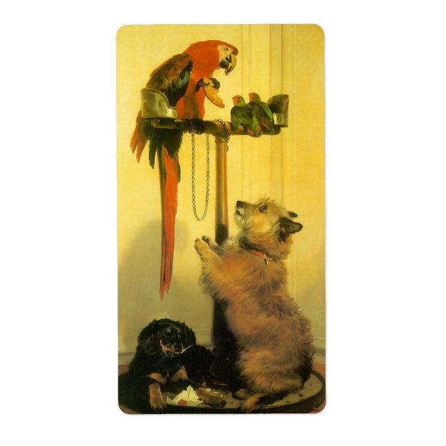 Islay, Tilco, a Macaw and Love Birds by Landseer (Front)