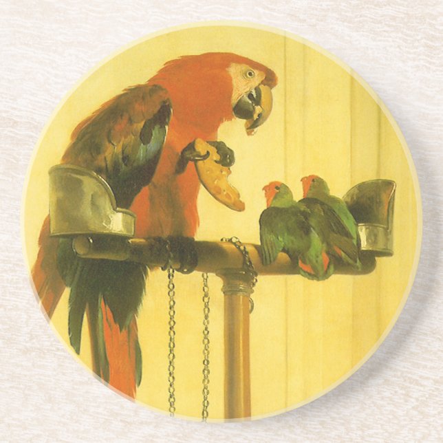 Islay, Tilco, a Macaw and Love Birds by Landseer Coaster (Front)