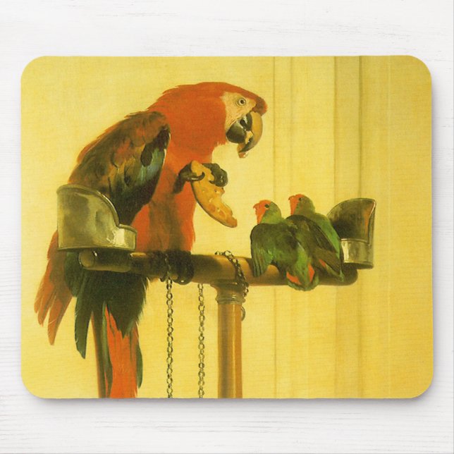 Islay, Tilco, a Macaw and Love Birds by Landseer Mouse Mat (Front)