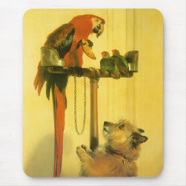 Islay, Tilco, a Macaw and Love Birds by Landseer Mouse Mat (Front)
