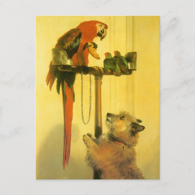 Islay, Tilco, a Macaw and Love Birds by Landseer Postcard (Front)