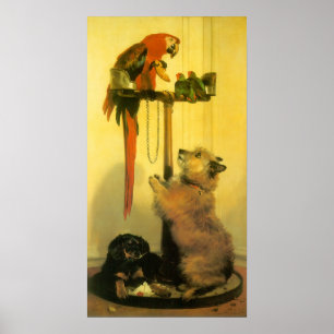 Islay, Tilco, a Macaw and Love Birds by Landseer Poster