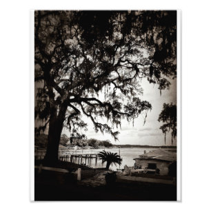 Isle Of Hope Photo Print