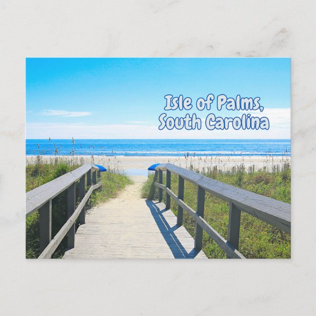 Isle of Palms South Carolina Beach  Postcard (Front)