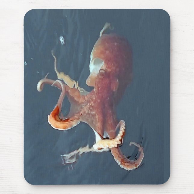 Isle of Skye Octopus Mouse Pad Customisable Marine (Front)