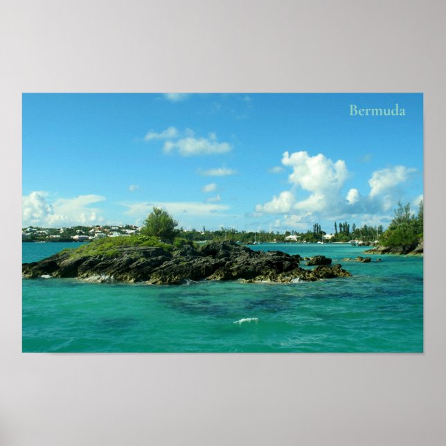 Islet in Mangrove Bay, Bermuda Poster (Front)