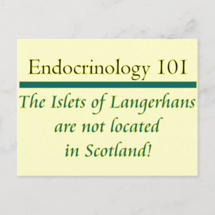 Islets of Langerhans Postcard