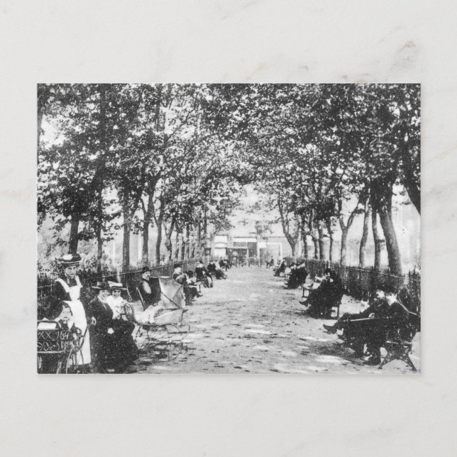 Islington Green, c.1900 Postcard (Front)