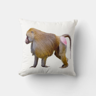 Isolated baboon walking postcard square sticker cushion