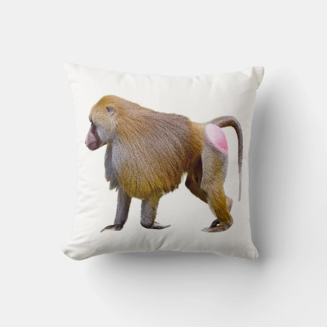 Isolated baboon walking postcard square sticker cushion (Front)