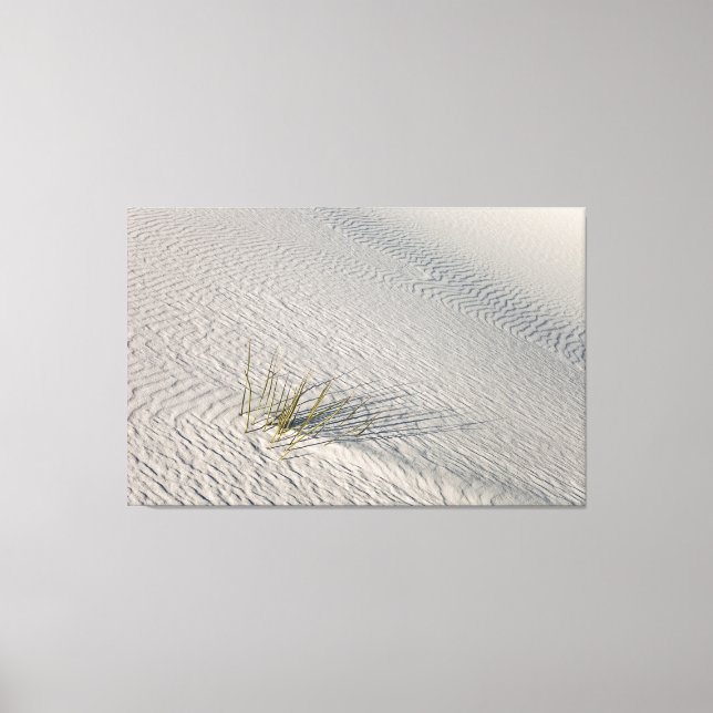 Isolated  canvas print (Front)