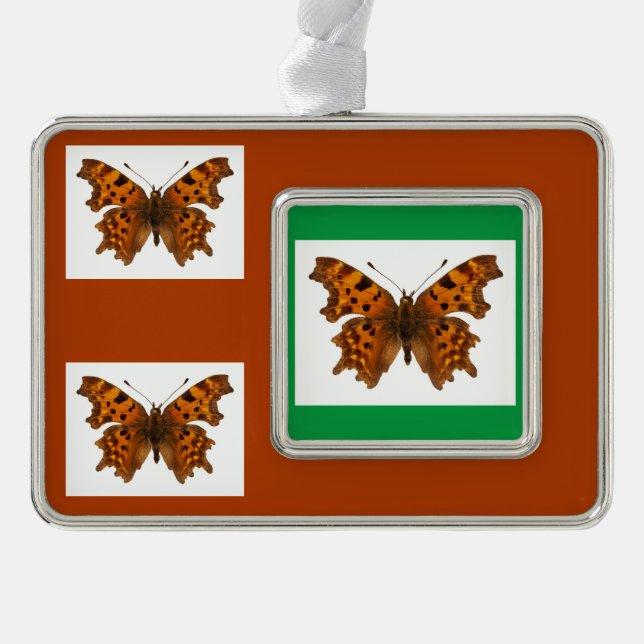 Isolated Comma butterfly Postcard Poster Christmas Silver Plated Framed Ornament (Front)