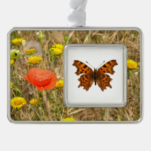 Isolated Comma butterfly Postcard Poster Silver Plated Framed Ornament