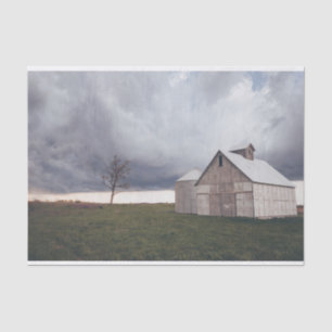 Isolated Cream Barn with a Lonely Bare Tree Tissue Paper