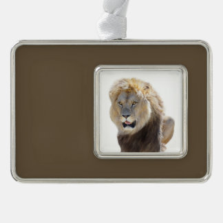 Isolated lion sitting and sticking out your tongue silver plated framed ornament
