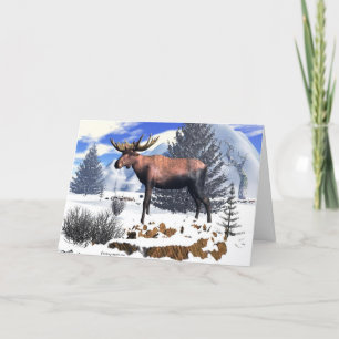 Isolated Majasty, Holiday Card