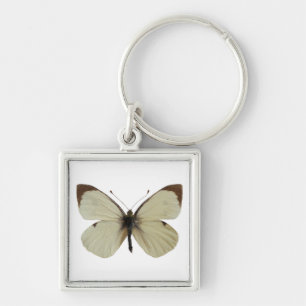 Isolated male Large White butterfly   Key Ring
