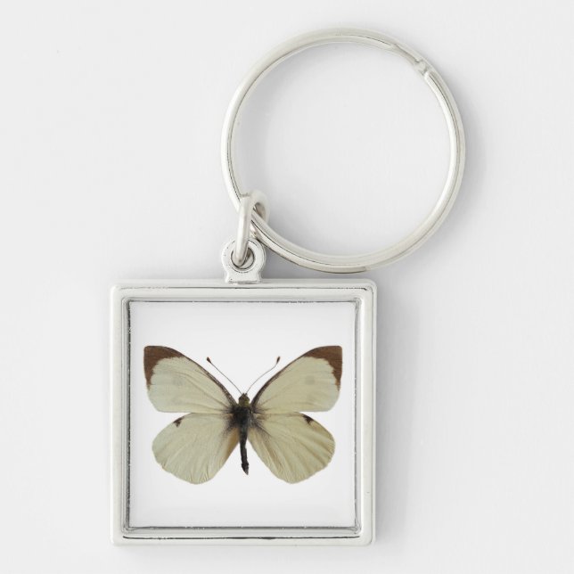 Isolated male Large White butterfly   Key Ring (Front)