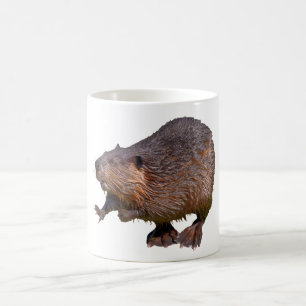 Isolated of North American Beaver Postcard Square  Coffee Mug