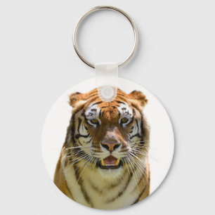 Isolated of portrait tiger and showing teeth key ring