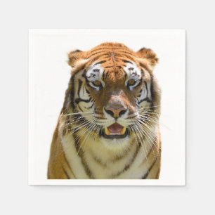 Isolated of portrait tiger and showing teeth napkin