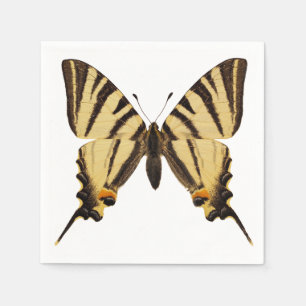 Isolated Scarce Swallowtail butterfly Napkin