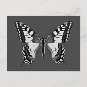 Isolated swallowtail butterfly PNG Postcard