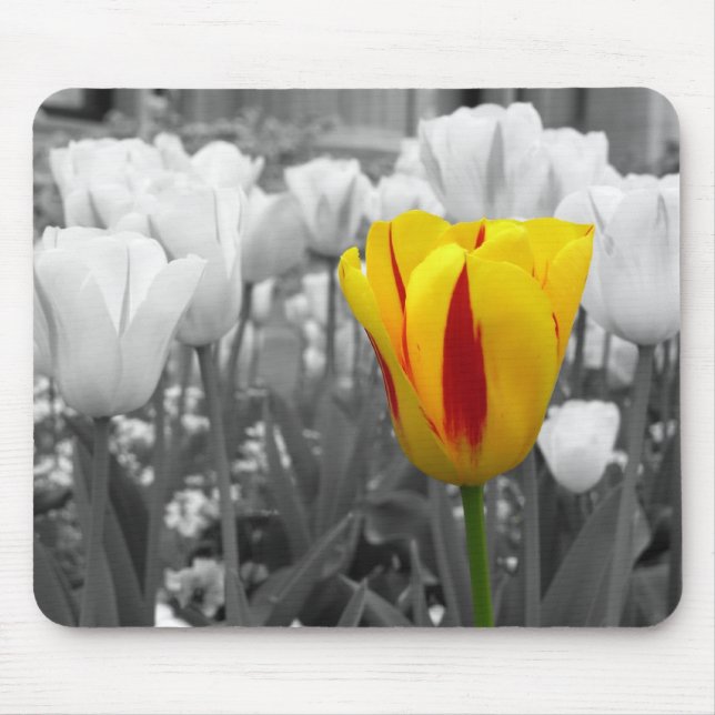 Isolated Tuli[ Mouse Mat (Front)