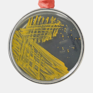 Isolation Streak of Bacteria Metal Tree Decoration