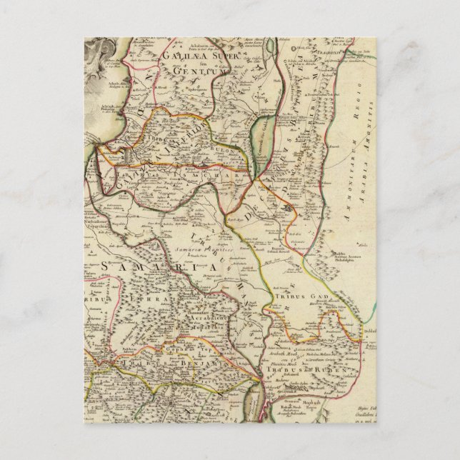 Israel and Palestine 2 Postcard (Front)