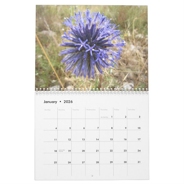 israel calendar (Jan 2026)