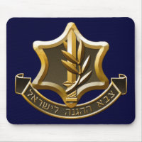 Israel Defence Forces