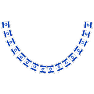 Israel flag blue white patriotic bunting banner