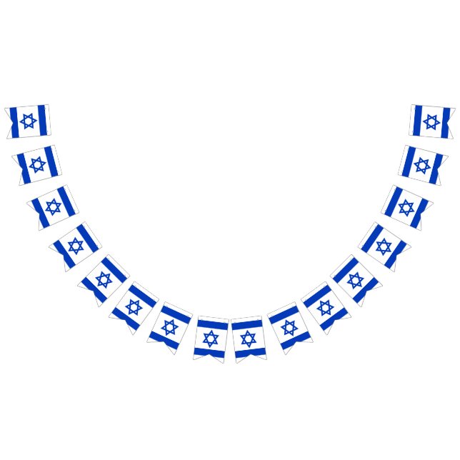 Israel flag blue white patriotic bunting banner (All)