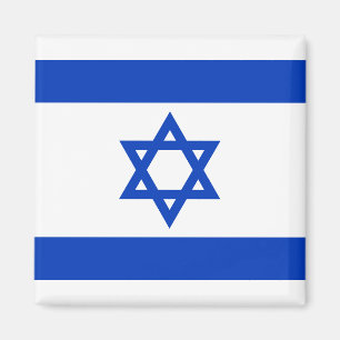 Israel flag magnet