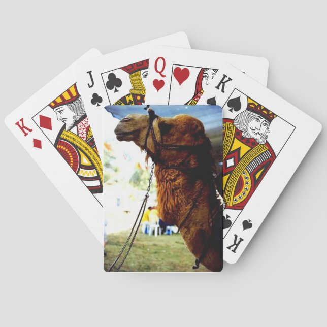 Israeli Camel Playing Cards (Back)