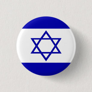 Israeli Flag Pin