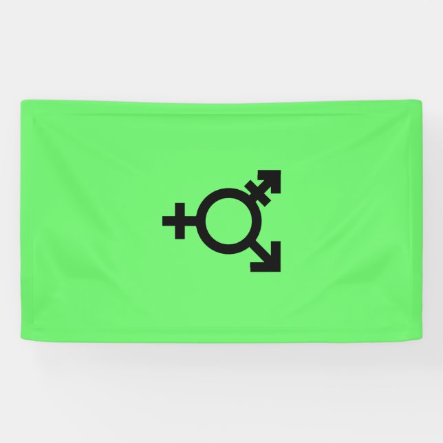 Israeli Transgender Pride Flag Banner (Horizontal)