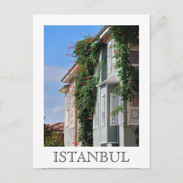 Istanbul street Postcard (Front)