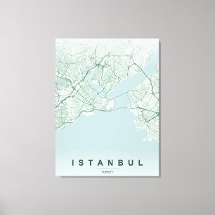 Istanbul Turkey City Map Minimal Design Canvas Print