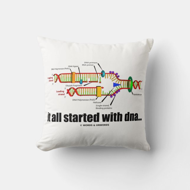 it all started with DNA.. DNA Replication Humour Cushion (Front)