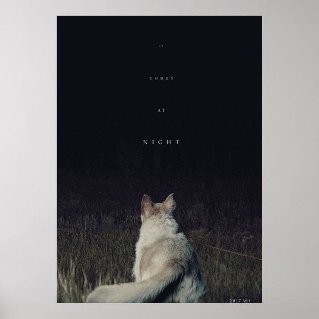 It Comes at Night Movie graphic Poster (Front)