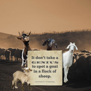 It don't take a Cowboy Wisdom Southern Quotes Stone Coaster